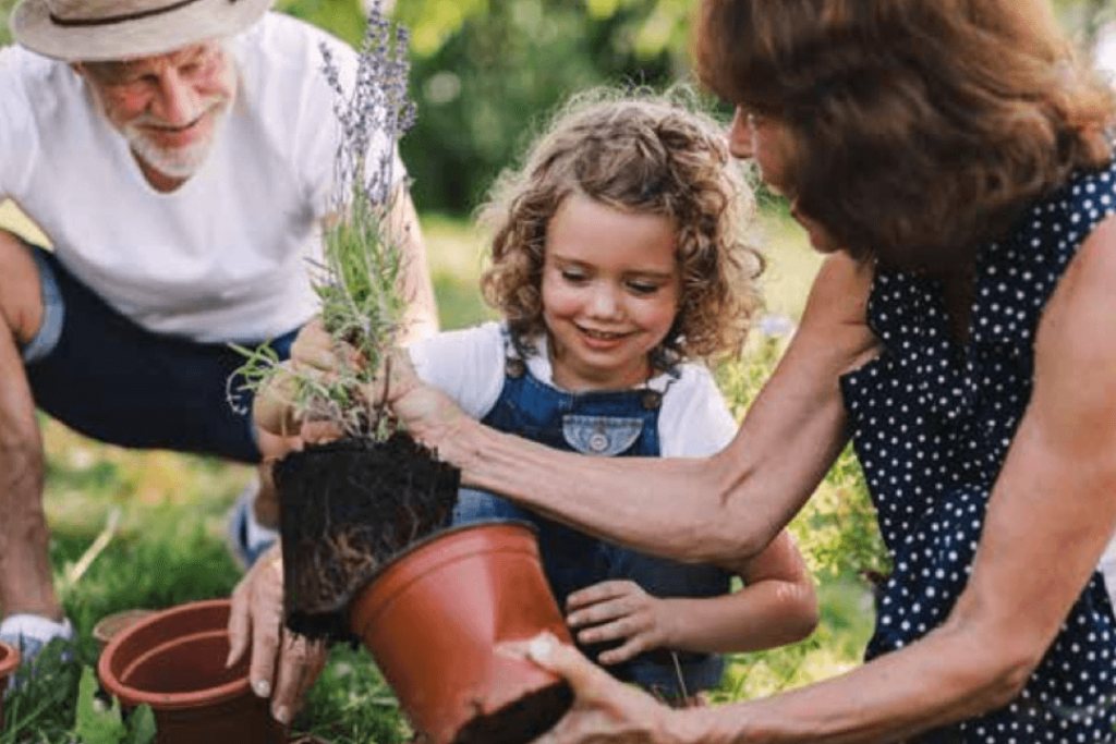 ontwerp zonder titel  1